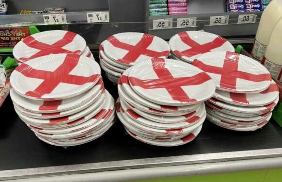 Bargain hunter nabs 51 packs of paper plates slashed to 2p each – but people can’t decide if it’s really a good deal | The Sun