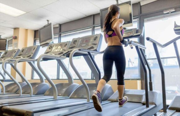 Best Cheap Treadmills 2022 | The Sun UK | The Sun
