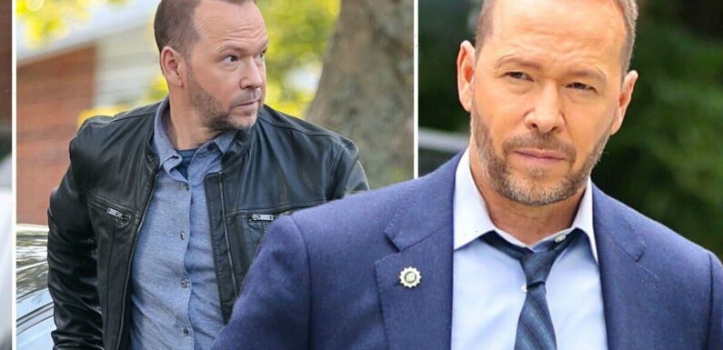 Blue Bloods’ Donnie Wahlberg lands new project away from CBS show