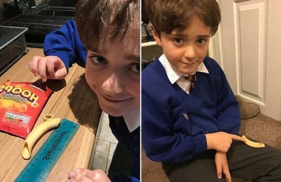 Boy, 10, stunned after finding monster 9cm crisp in bag of Aldi Hoops