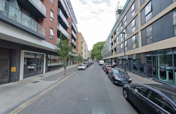 Boy, 16, stabbed to death in horror double knifing as cops launch hunt for killer | The Sun