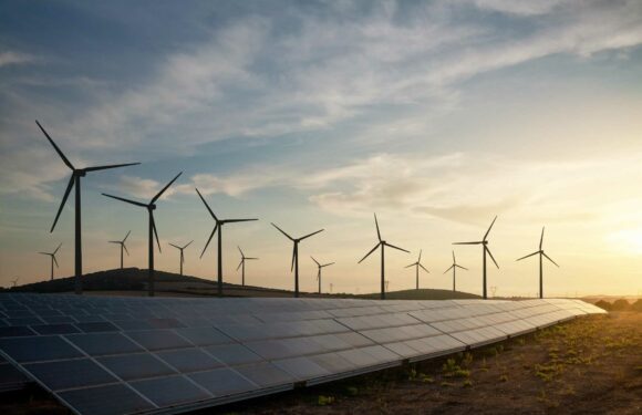 Brits install enough new renewables to cook 3 MILLION turkeys this Christmas | The Sun