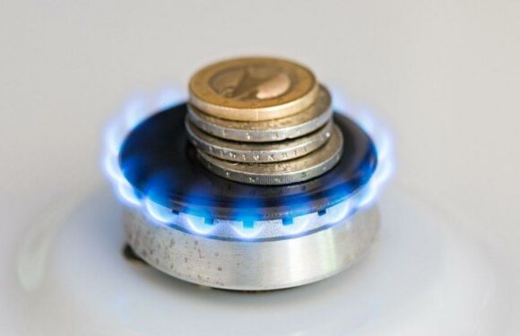 Brits should change kitchen appliance settings to be more energy-savvy