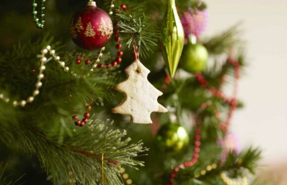 Brits string up nearly a MILE of Christmas decorations in their lifetime – including 841 baubles | The Sun