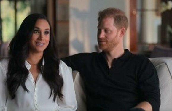 Buckingham Palace staffers seethe with rage at Sussexes attacks on Royals