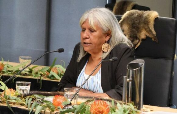 Call to raise age of criminal responsibility and stop ‘pipeline of shattered Indigenous children’