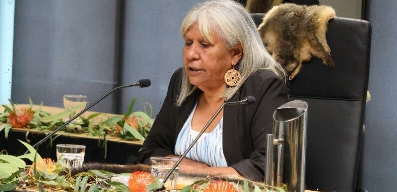 Call to raise age of criminal responsibility and stop ‘pipeline of shattered Indigenous children’