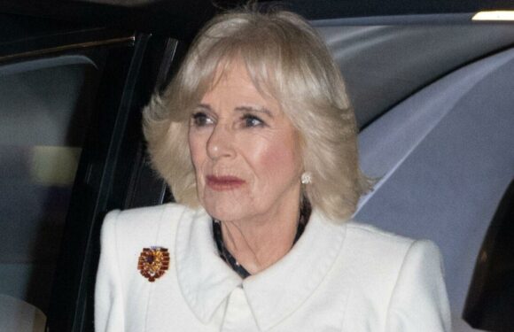 Camilla’s nod to Queen Mother with ‘not particularly expensive’ brooch
