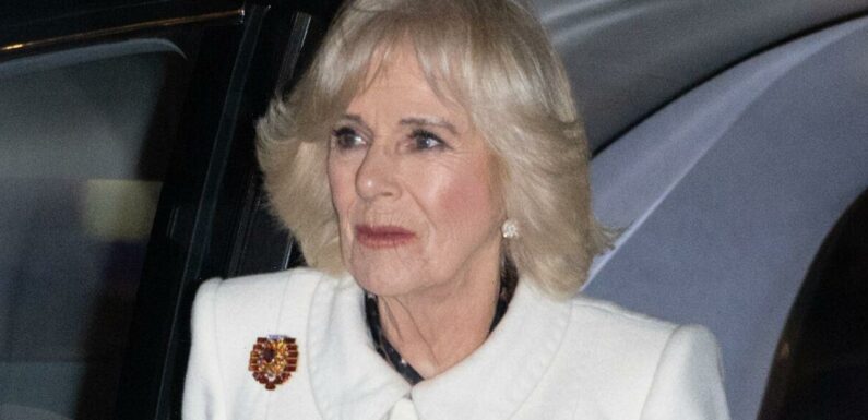 Camilla’s nod to Queen Mother with ‘not particularly expensive’ brooch