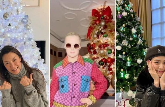 Celebrity Christmas Trees 2022 — Shining Bright, Feeling Right!