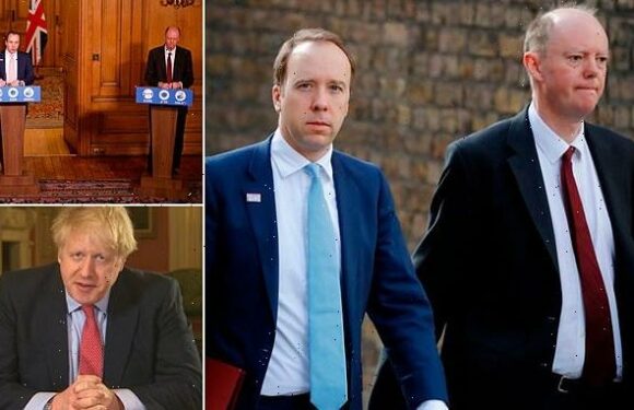 Chris Whitty warned pre-lockdown 820k people could die from COVID