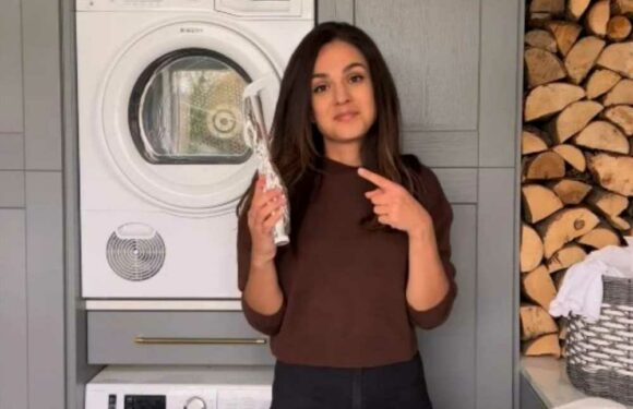 Cleaning fan shares genius way she gets her ironing done faster – and you’ve probably got what you need in the kitchen | The Sun
