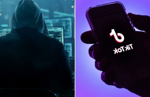 Creeps thirsty for nude TikTok videos tricked by virus that steals bank details