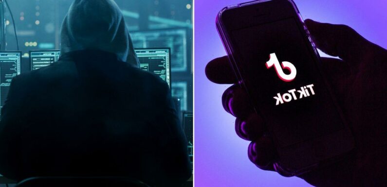 Creeps thirsty for nude TikTok videos tricked by virus that steals bank details
