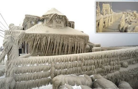 Death toll from America's big freeze rises over 50