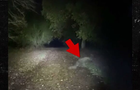 Dog-Walking Couple Sees Demonic Figure Scurry Across Path, Caught on Video