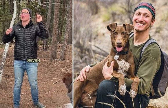 Dog trainer: This is the one game you should never play with your pet
