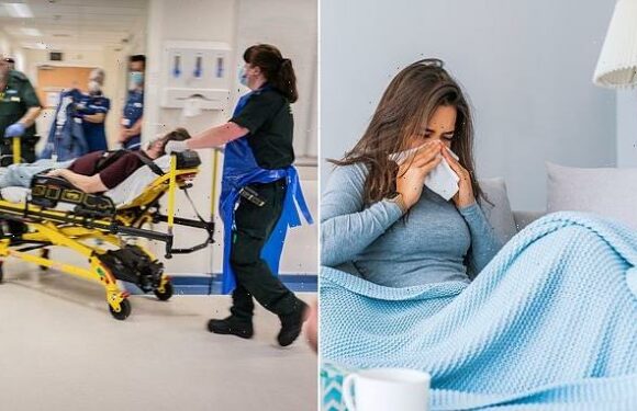 Don't give granny flu at Christmas: Sick people urged not to mingle