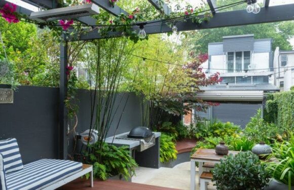 Don’t make this mistake with your garden when less is more