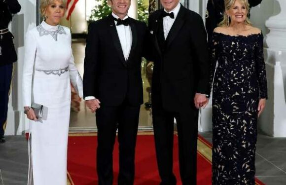 Dr. Biden wore Oscar de la Renta to Thursday’s state dinner: stunning?