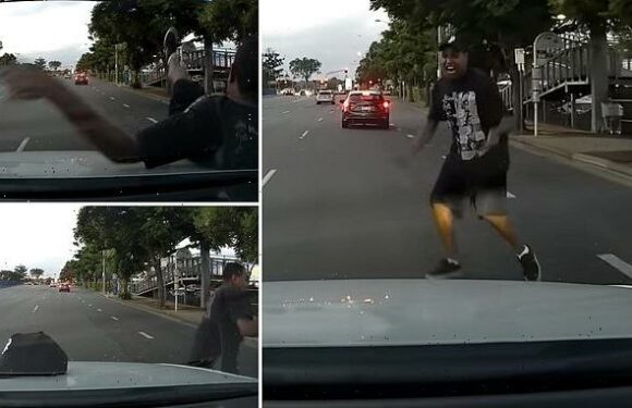 Driver hunts for man who ragdolled onto car, insurance blames owner