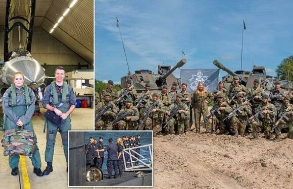 Dutch Crown Princess Catharina-Amalia 'introduced' into armed forces