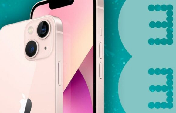 EE just made it 50% cheaper to use your iPhone and Samsung Galaxy