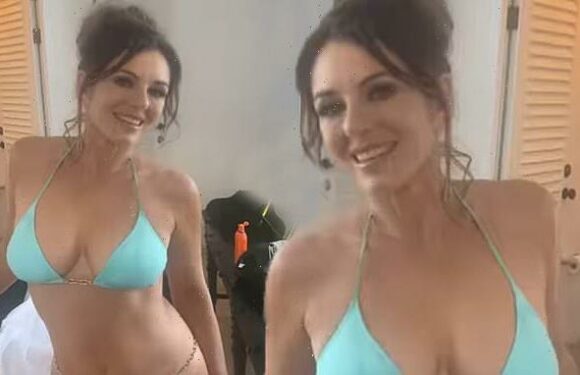 Elizabeth Hurley slams British Airways as she's stranded in Antigua