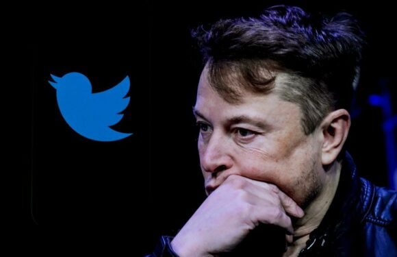 Elon Musk Asked Twitter if He Should Step Down as Head — The Majority of Users Said He Should