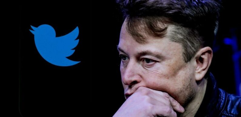 Elon Musk Asked Twitter if He Should Step Down as Head — The Majority of Users Said He Should