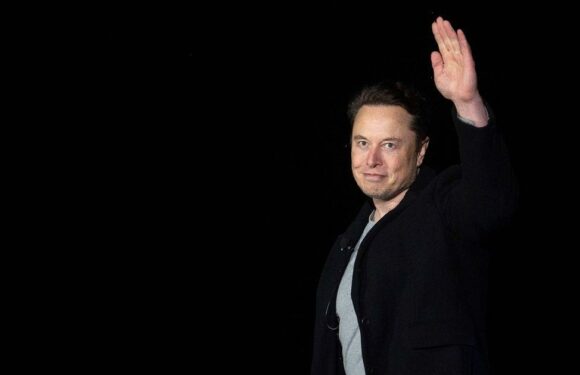 Elon Musk asks Twitter users whether he should ‘step down’ as CEO after chaos