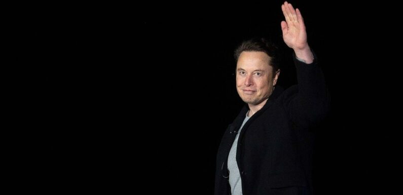 Elon Musk asks Twitter users whether he should ‘step down’ as CEO after chaos