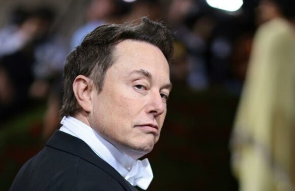 Elon Musk could step down as Twitter chief after user poll tells him to quit
