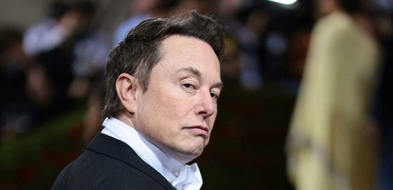 Elon Musk could step down as Twitter chief after user poll tells him to quit