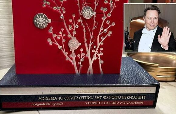 Elon Musk shares photo of bedside table showing the US Constitution