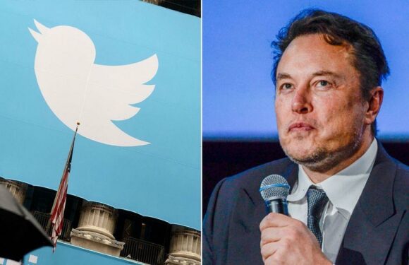 Elon Musk to force Twitter users to pay for polls after they told him to quit