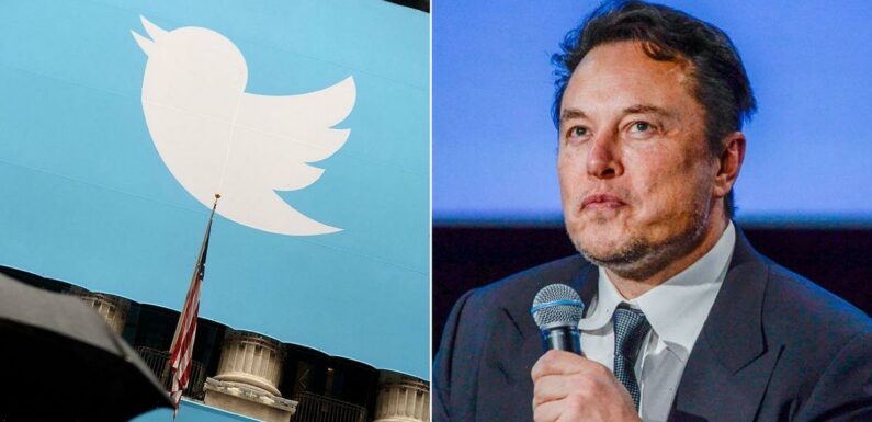 Elon Musk to force Twitter users to pay for polls after they told him to quit