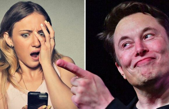 Elon Musk’s warns 1.5bn Twitter users ‘post tweets or I’ll delete your account’