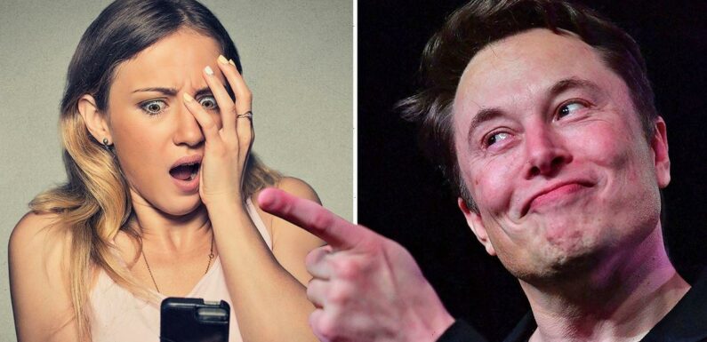 Elon Musk’s warns 1.5bn Twitter users ‘post tweets or I’ll delete your account’