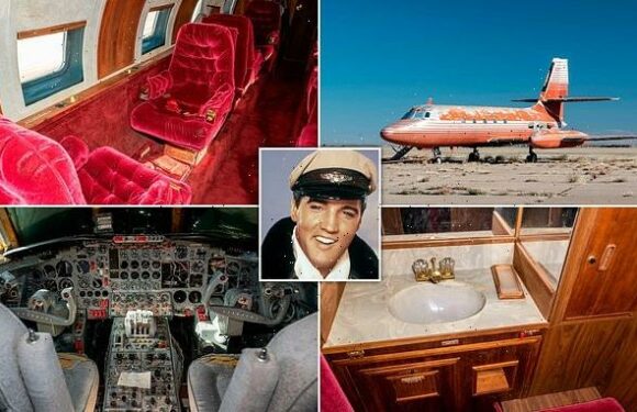 Elvis Presley's 1962 private plane is set to go up for auction