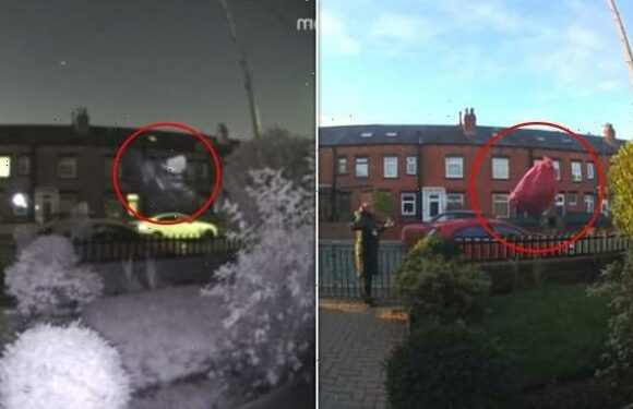 Evri courier caught hurling parcel 20ft from road to customer's door