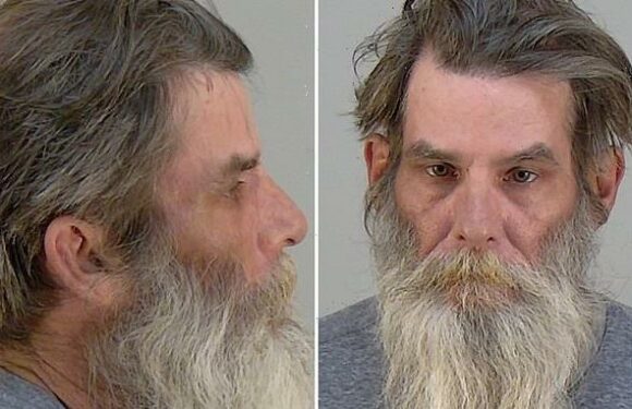 Florida man arrested after hitting wife with CHRISTMAS TREE