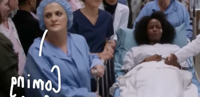 Former Grey’s Anatomy Writer Who Based Episodes On Her Health Issues ADMITS She Faked Cancer!!