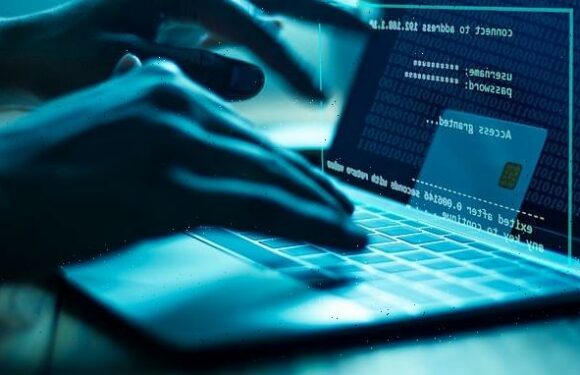 Fraudsters could steal £76m during festive period