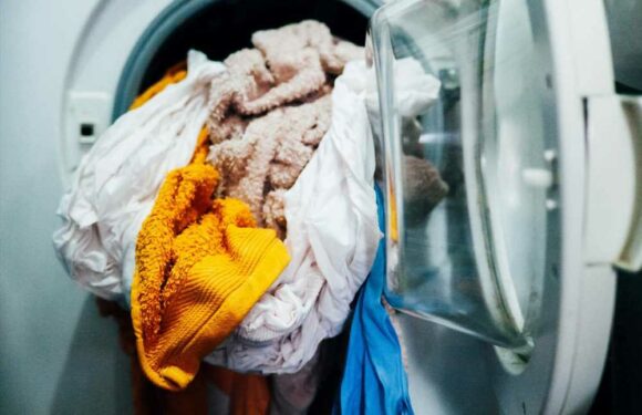 From your towels to mattress and sheets – how often you must clean key items or risk getting sick | The Sun