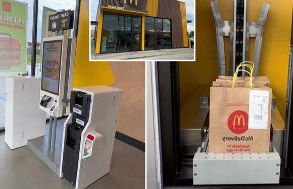 Futuristic McDonald’s ‘without a human in sight’ leaves fast food fans divided