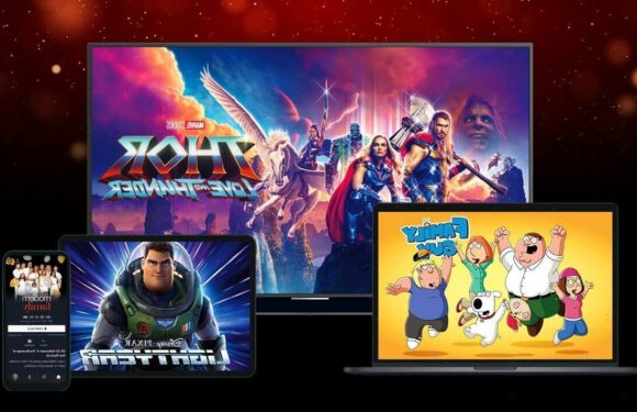 Get Disney Plus for a whole year at lowest EVER price