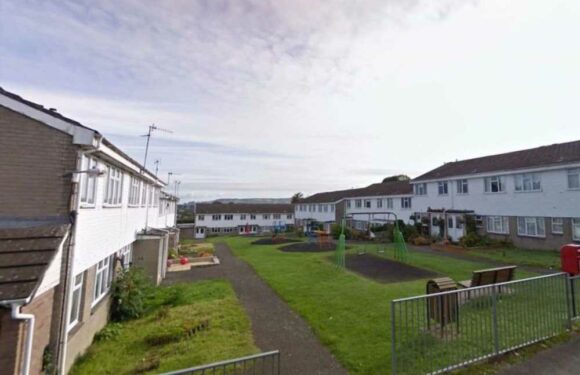 Girl, 8, dies and woman, 33, arrested on suspicion of child neglect as public health probe Strep A link | The Sun