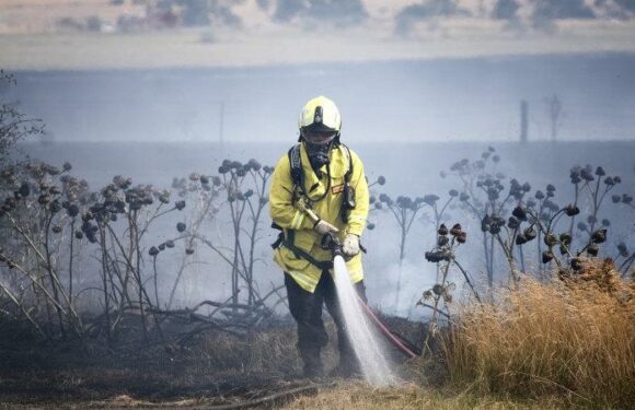 Grass fires pose threat this summer as heat dries out flooded forests