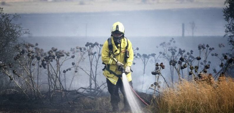 Grass fires pose threat this summer as heat dries out flooded forests